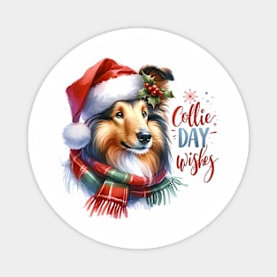 Collie Day Wishes Magnet